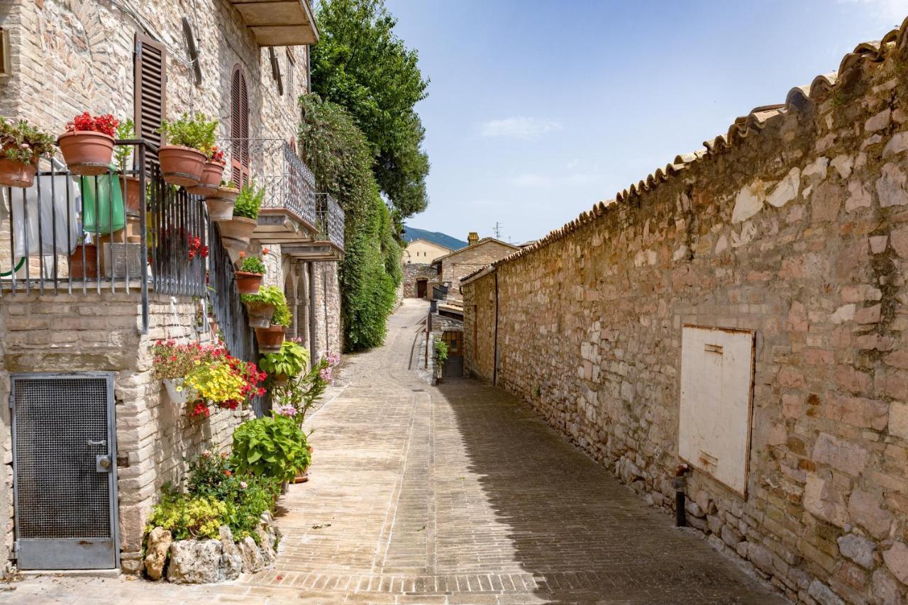 Rustic House, Con Patio E Giardino, Assisi Centro Villa Exterior foto